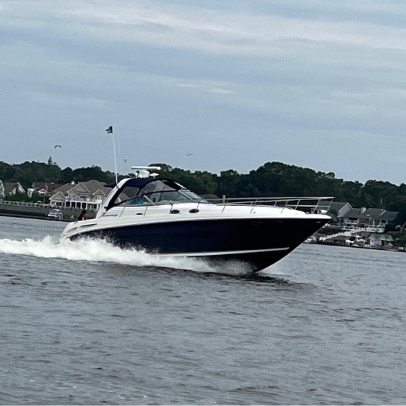 sandy1774